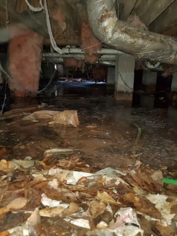 Crawl space flood assessment for Commercial Water Damage Restoration in Sutherlin