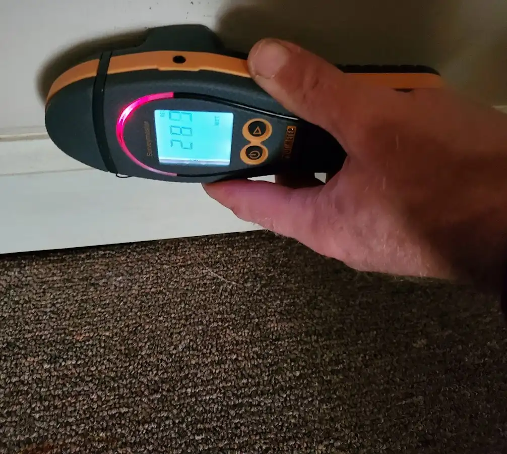 Moisture detection at baseboard during Mold Inspection & Testing in Sutherlin